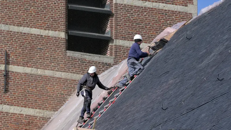 Roofers in safety harnesses working on a steep slate roof