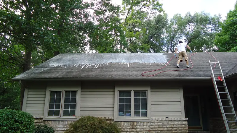 Worn, stained shingle roof with a ladder against the eave